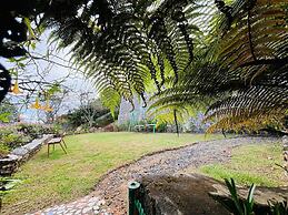 THE KODAI HAVEN