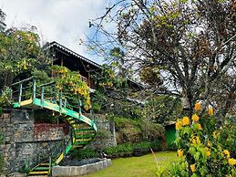 THE KODAI HAVEN