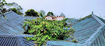 THE KODAI HAVEN