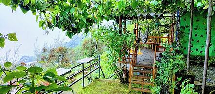THE KODAI HAVEN