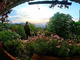 THE KODAI HAVEN