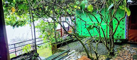 THE KODAI HAVEN
