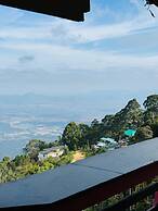 THE KODAI HAVEN