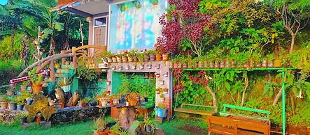 THE KODAI HAVEN