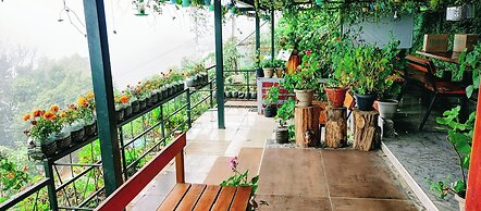 THE KODAI HAVEN