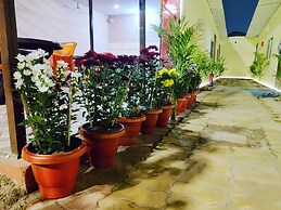 Maple Tree resort & restaurant