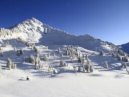 Awesome Apartment Near ski Slope