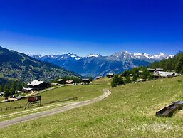 Flat in Nendaz Near Ski Slopes & Cable Cars