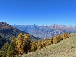 Flat in Nendaz With Ski-in/ski-out Access