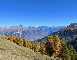 Flat in Nendaz With Ski-in/ski-out Access