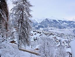 Flat in Nendaz With Ski-in/ski-out Access