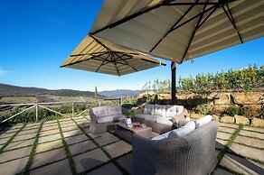 Villa Chianti With Infinity Pool And Vineyard View