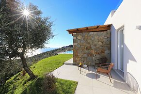 Design Villa With Infinity Pool & Li Galli View
