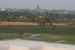 Shri Ram Lalla International