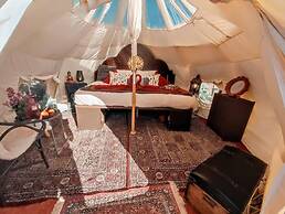 Unique Stargazing Escape With Ocean View