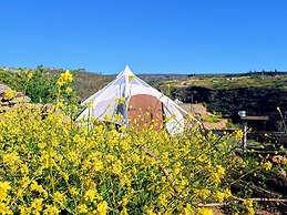 Unique Stargazing Escape With Ocean View