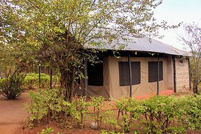 Eco mara forest camp