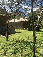 Eco mara forest camp