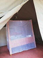Eco mara forest camp