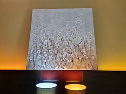 COZY Studio at SCSP Suite