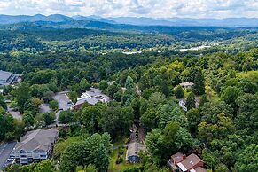 Hyannis 10min to Asheville Firepit Ping Pong