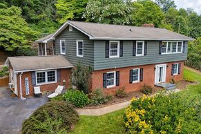 Hyannis 10min to Asheville Firepit Ping Pong