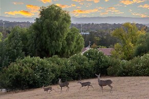 Paso Vista Bella by Avantstay Luxe Group Escape w Wine Country Views