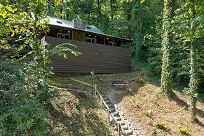 Riverwood Gatlinburg Pigeon Forge Cabin w River Views