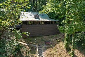 Riverwood Gatlinburg Pigeon Forge Cabin w River Views