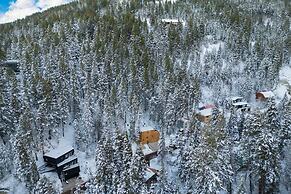 Parkview Mountain House Luxury Ski Home w Hot Tub Near Trails Downtown
