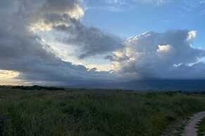 Hummingbird Haven by Avantstay Dog-friendly Near the Beach Huge Yard H