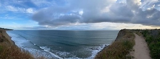 Hummingbird Haven by Avantstay Dog-friendly Near the Beach Huge Yard H