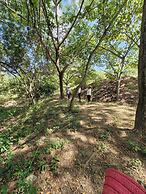 FINCA ECOTURISTICA LOS JAGUEYES