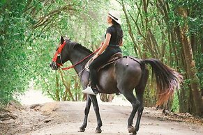 FINCA ECOTURISTICA LOS JAGUEYES