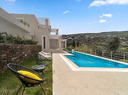Suite Home Villas with Private Pools by Explore Andros