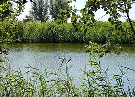 Apartment in Groede Near the Beach