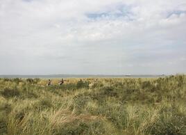 Apartment in Groede Near the Beach