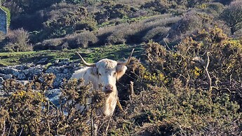 Seaside Escape at Ty Bugail - Holyhead