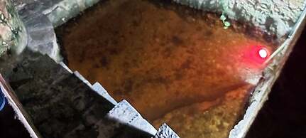 Mini Pini Birdwatching and Cenote Loft4 you Only