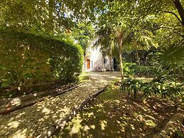 Mini Pini Birdwatching and Cenote Loft4 you Only