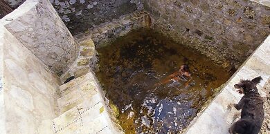 Mini Pini Birdwatching and Cenote Loft4 you Only