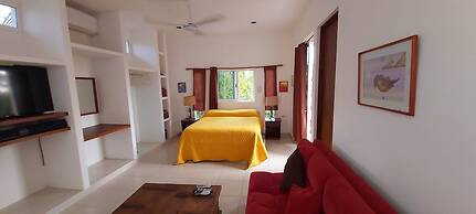 Mini Pini Birdwatching and Cenote Loft4 you Only