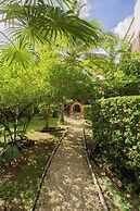 Mini Pini Birdwatching and Cenote Loft4 you Only