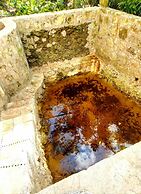 Mini Pini Birdwatching and Cenote Loft4 you Only