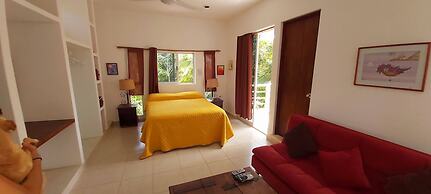 Mini Pini Birdwatching and Cenote Loft4 you Only