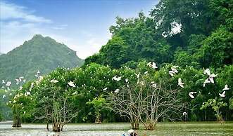 Núi Vàng Tràng An