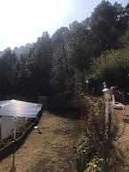 HOTEL Golden Pine villa