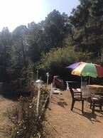 HOTEL Golden Pine villa