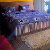 HOTEL Golden Pine villa