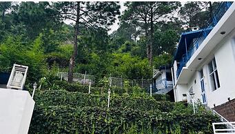 HOTEL Golden Pine villa